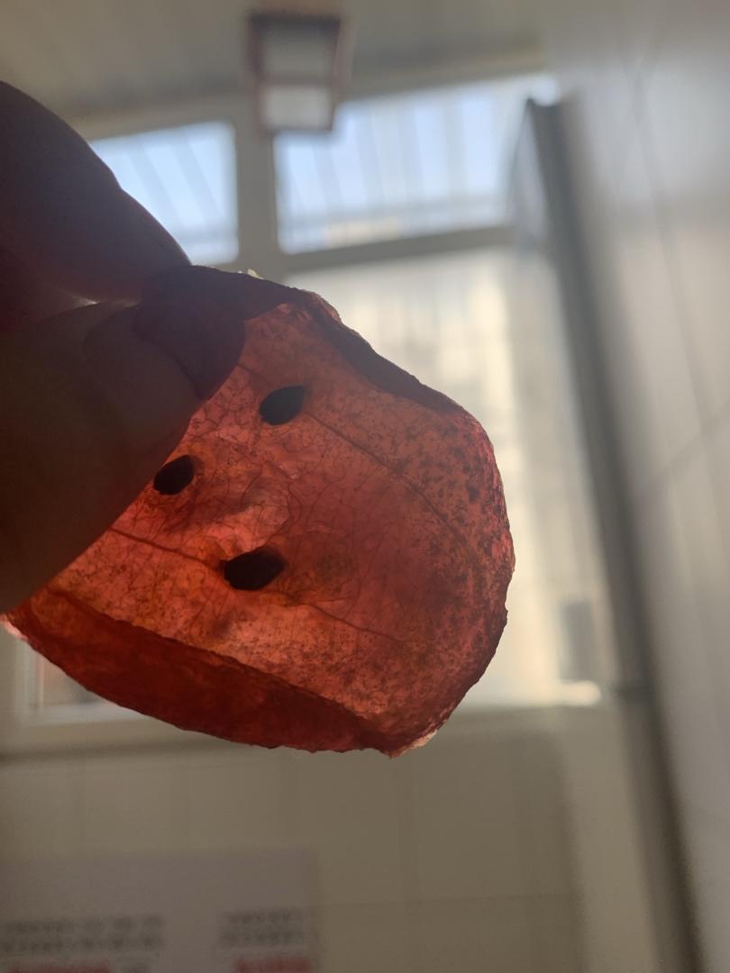 百香果干