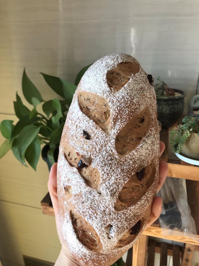 光做不吃，减肥！