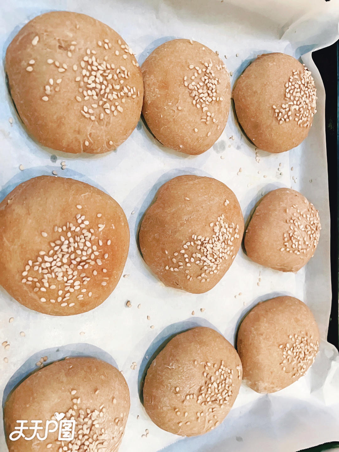 小高姐的免揉土豆面包 汉堡胚