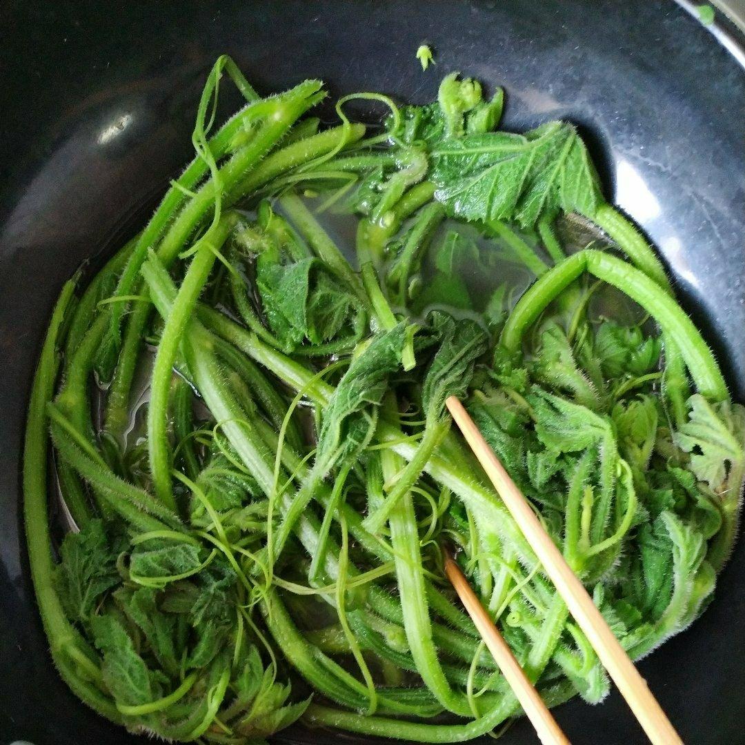 凉拌南瓜藤