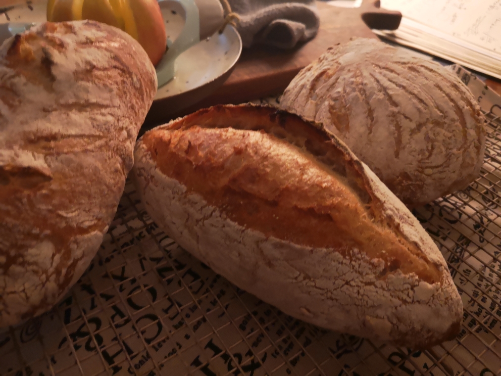 黑麦欧包（配方来自下厨房MOF大师6种造型面包课）的做法