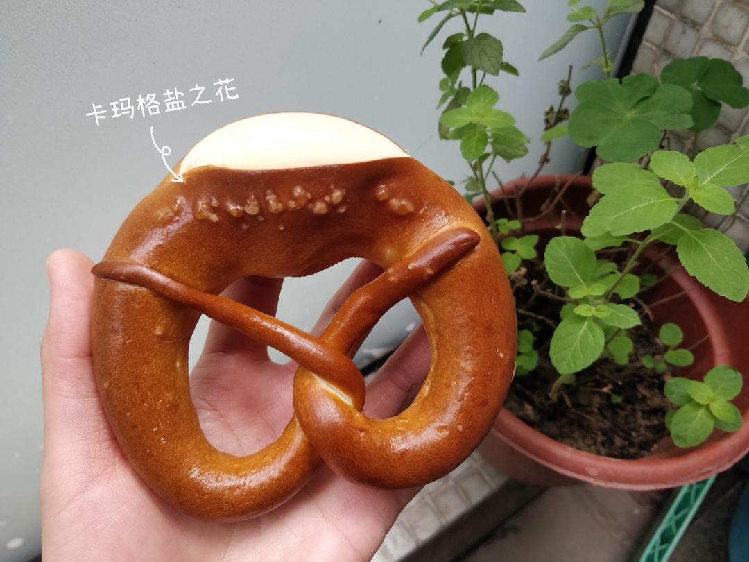 我的面包考研日记