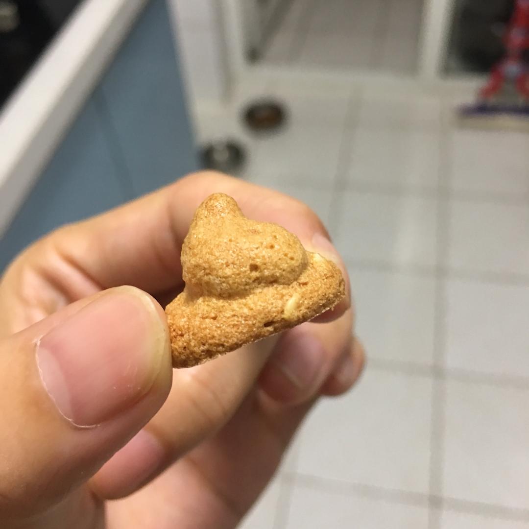 脆脆芝麻蛋白饼