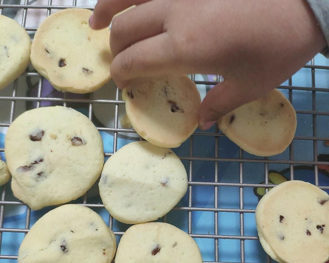 葡萄干（蔓越莓）儿童饼干