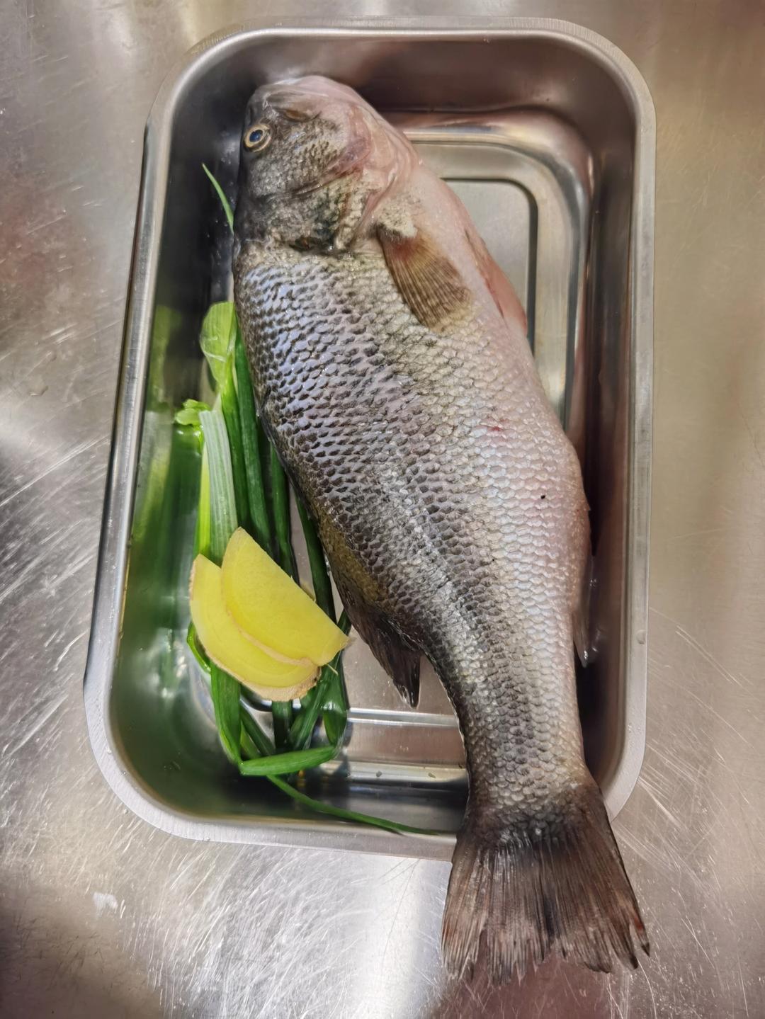 清蒸东星斑&罗氏虾-年年有余&哈哈大笑【北鼎年夜饭】