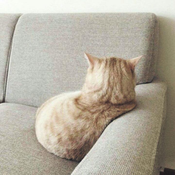 好棒好棒的