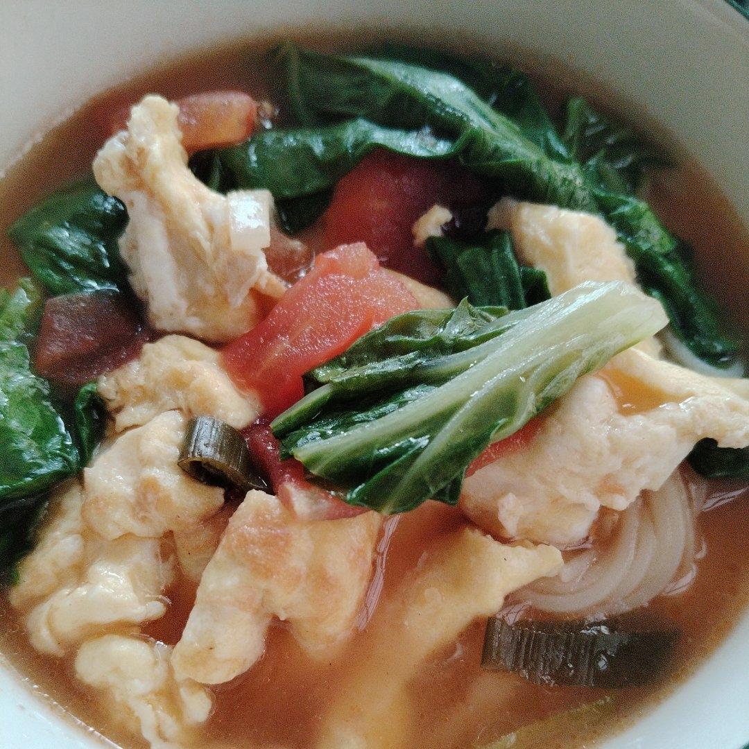 西红柿鸡蛋汤面条