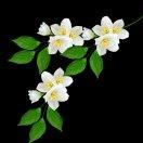 微信用户_木子WnEk