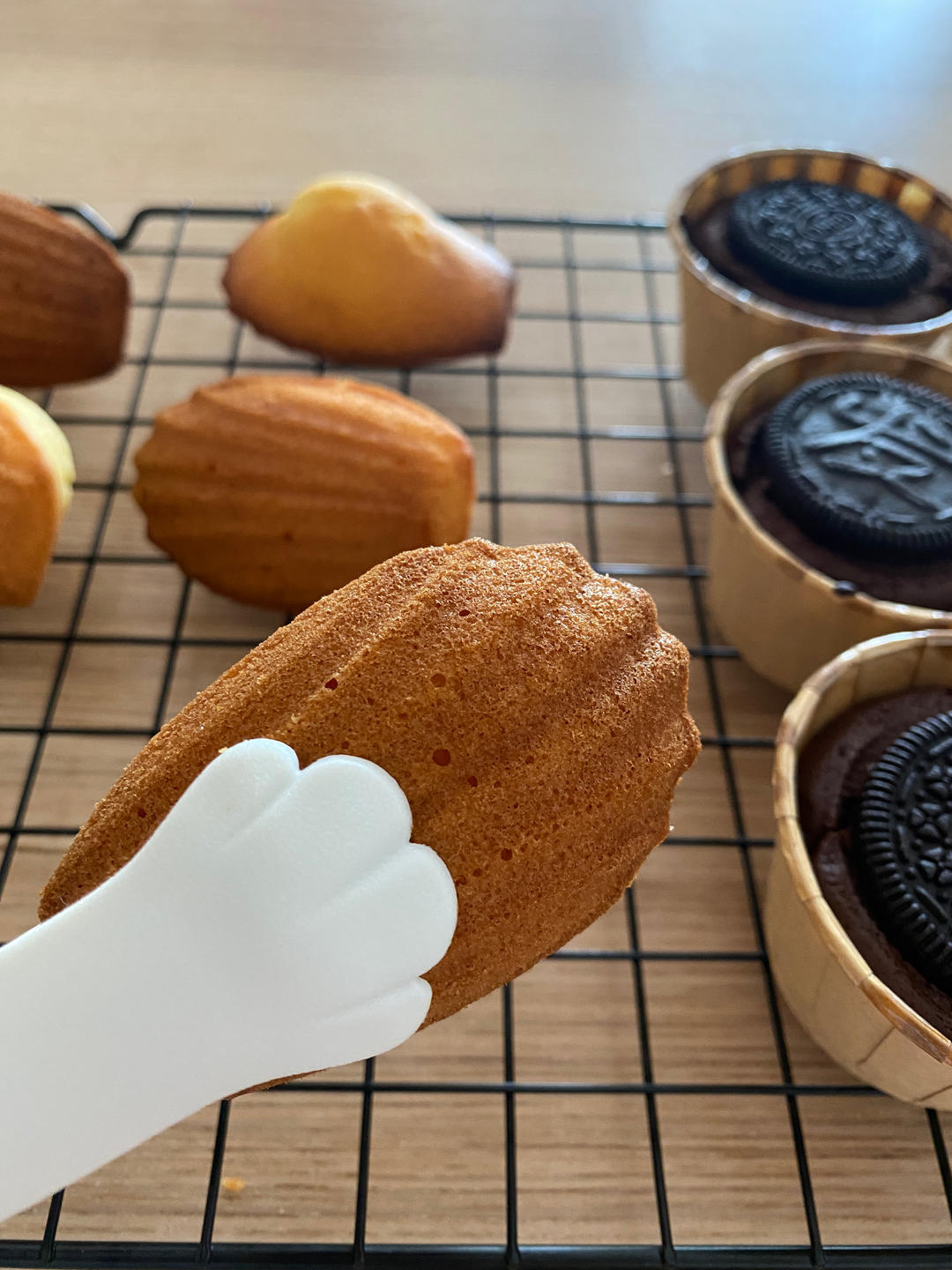 经典原味玛德琳蛋糕