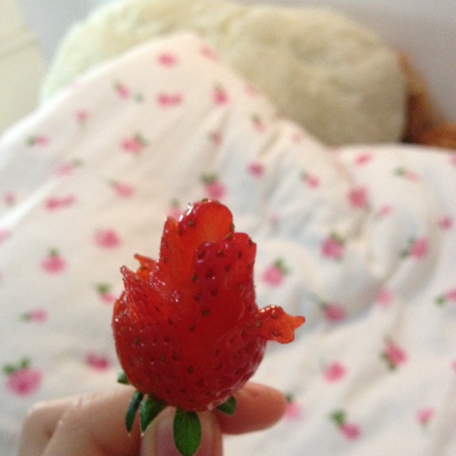 草莓玫瑰花