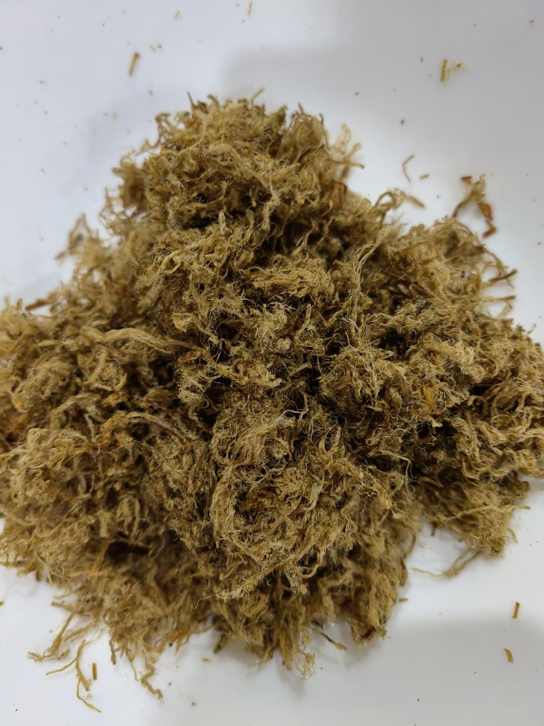 自制原味猪肉松    这么做轻松搞定    厨房小白一样能成功   附细节视频