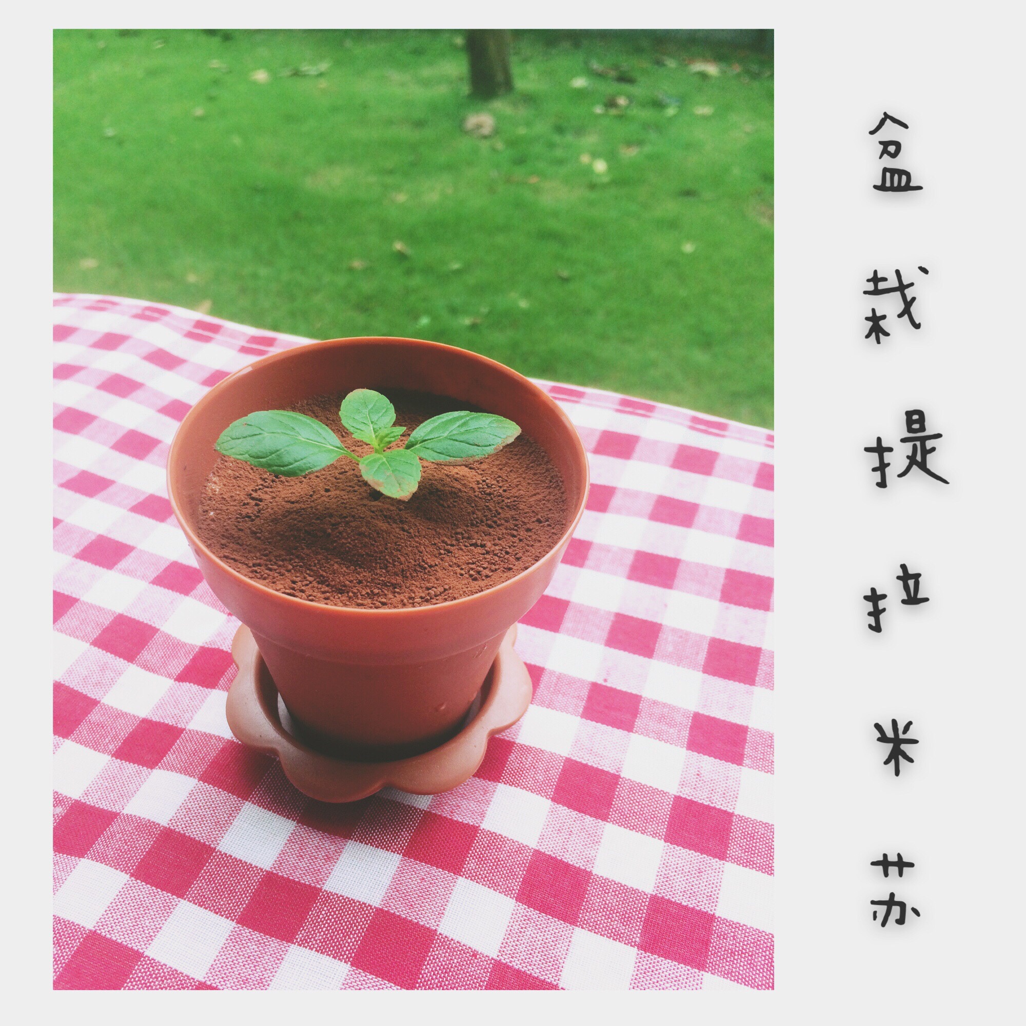 提拉米苏（硬身版）