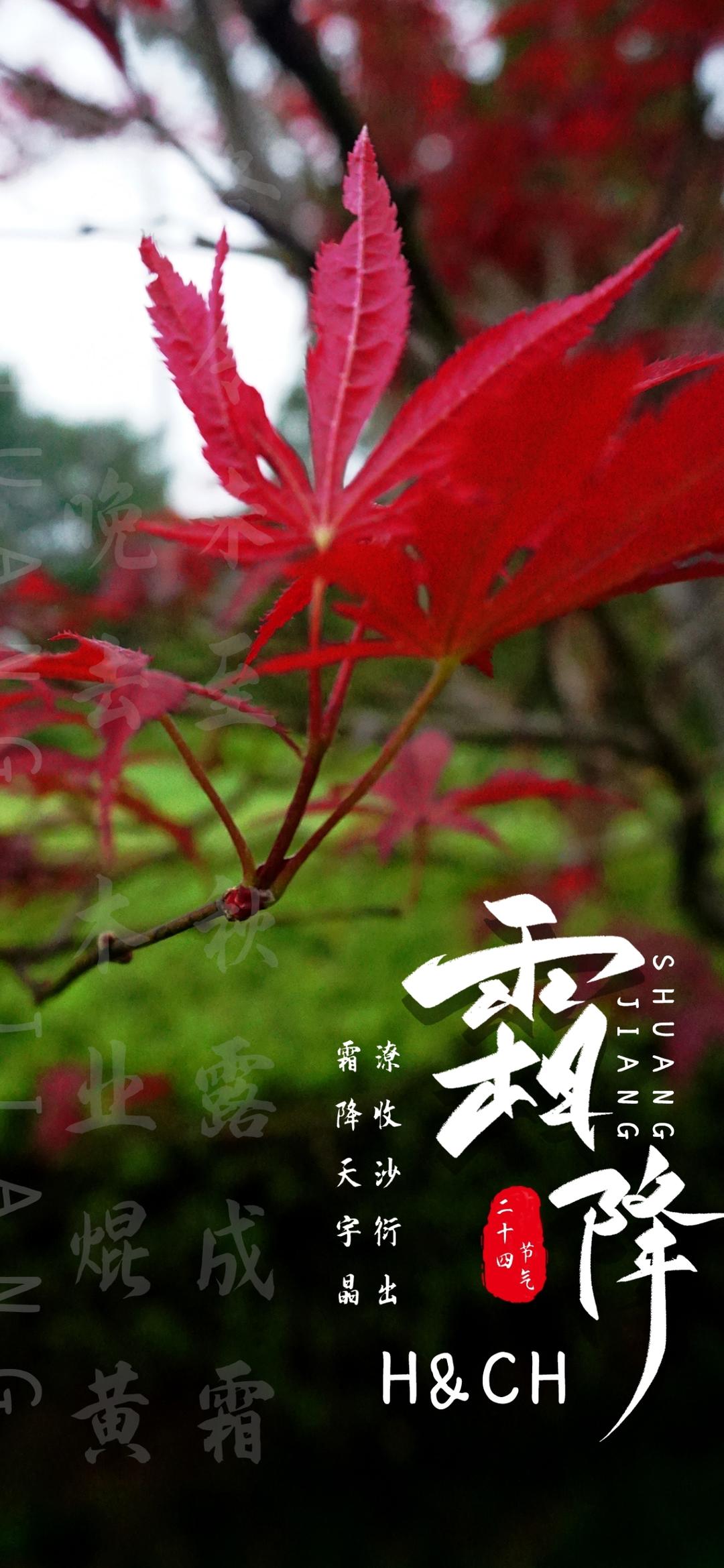 二十四节气的图