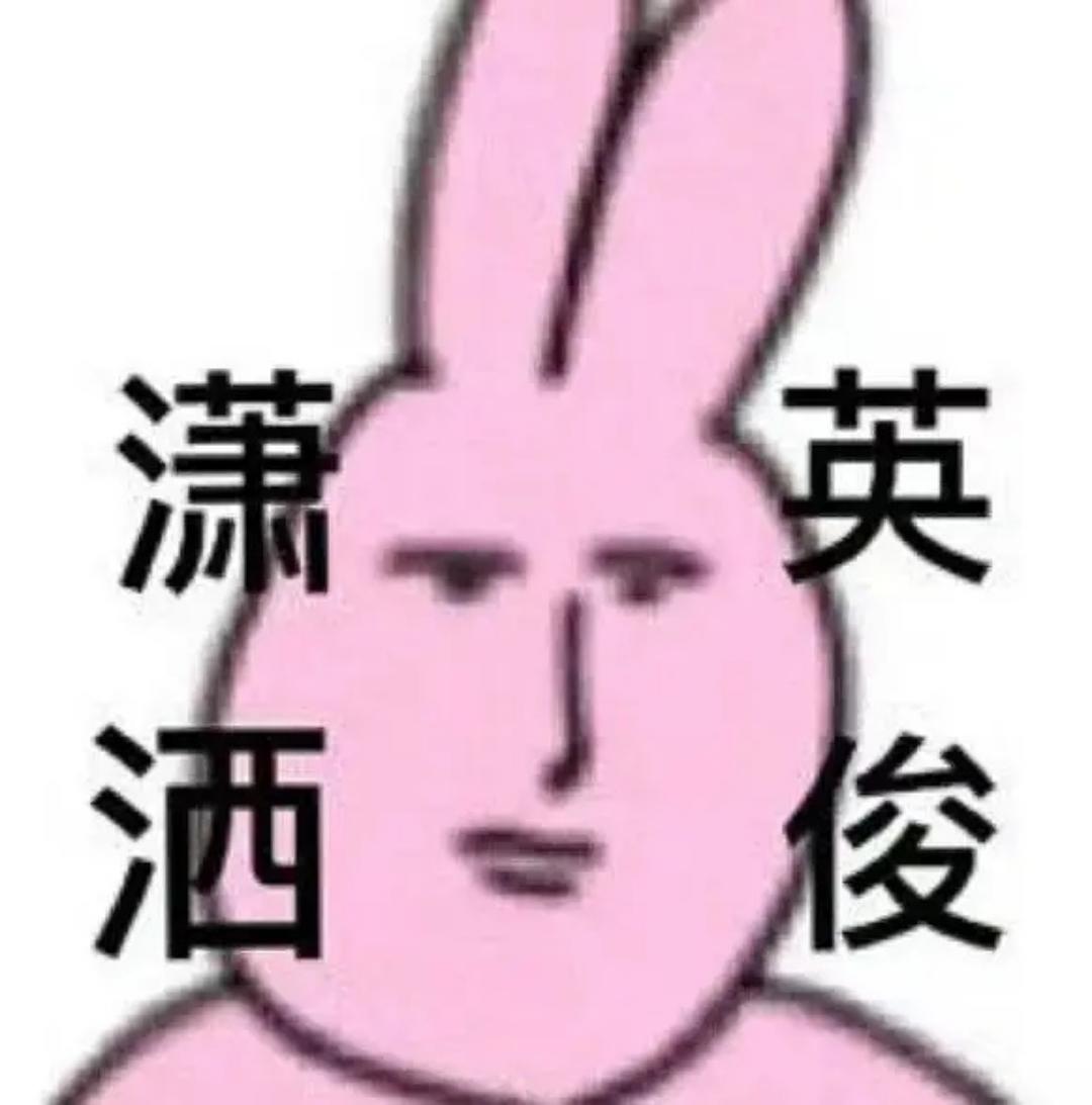 今天也要233