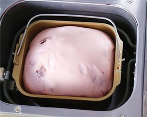 奶香浓郁紫薯面包的做法的做法 步骤6