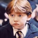 人类未解之谜之适量是多少