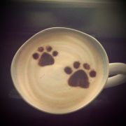 加柠檬的tequilabomb