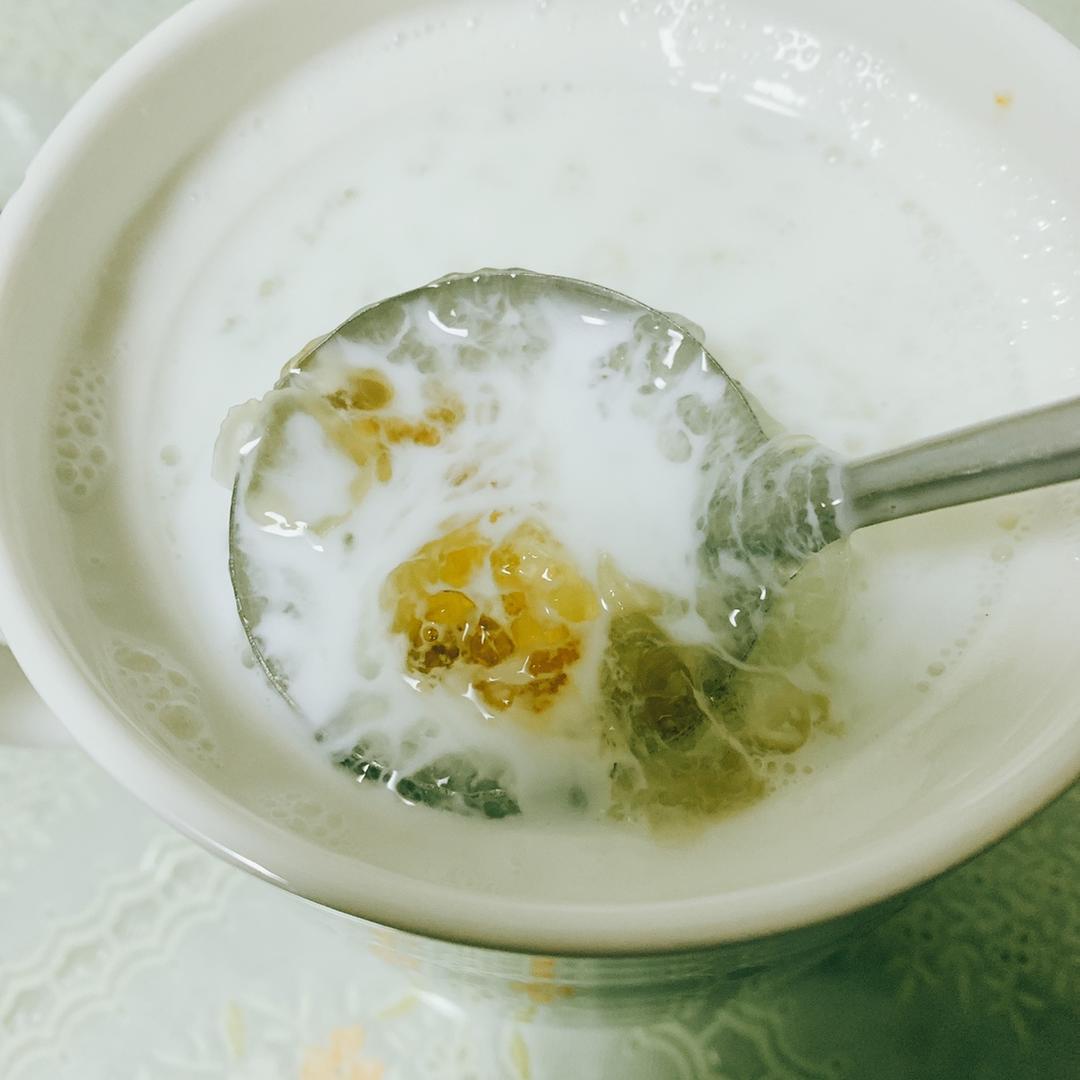 养生甜品之雪燕桃胶牛奶