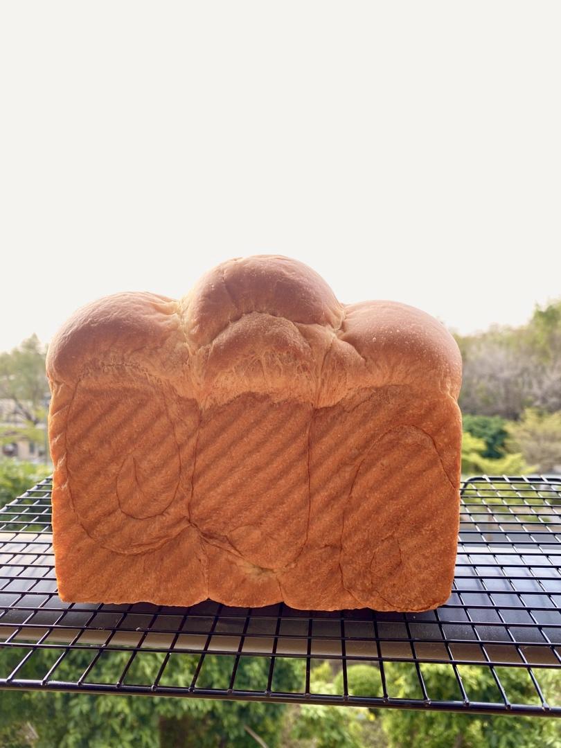 比棉花还柔软的中种北海道吐司