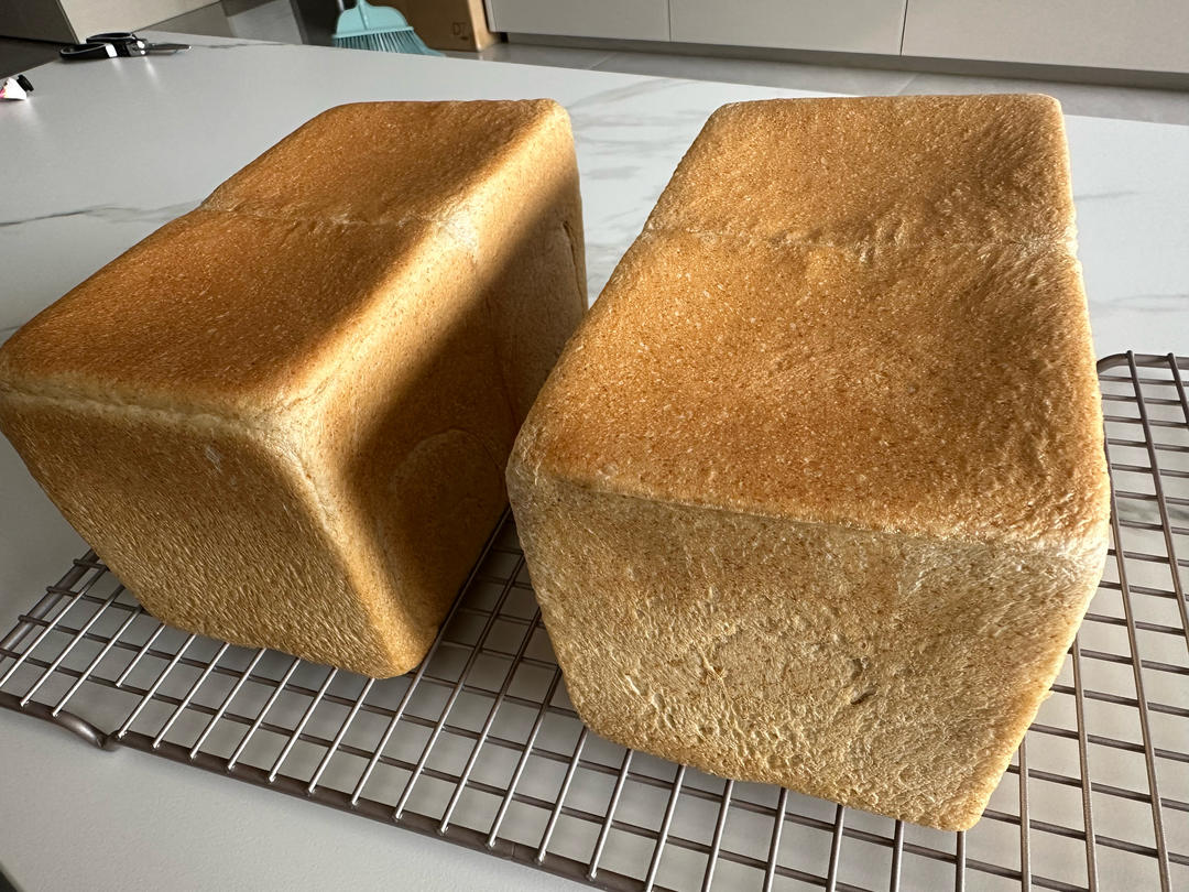 波兰种全麦吐司