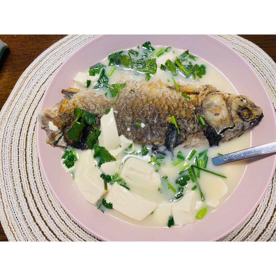 奶白鲫鱼豆腐汤|一条鱼最后的温柔