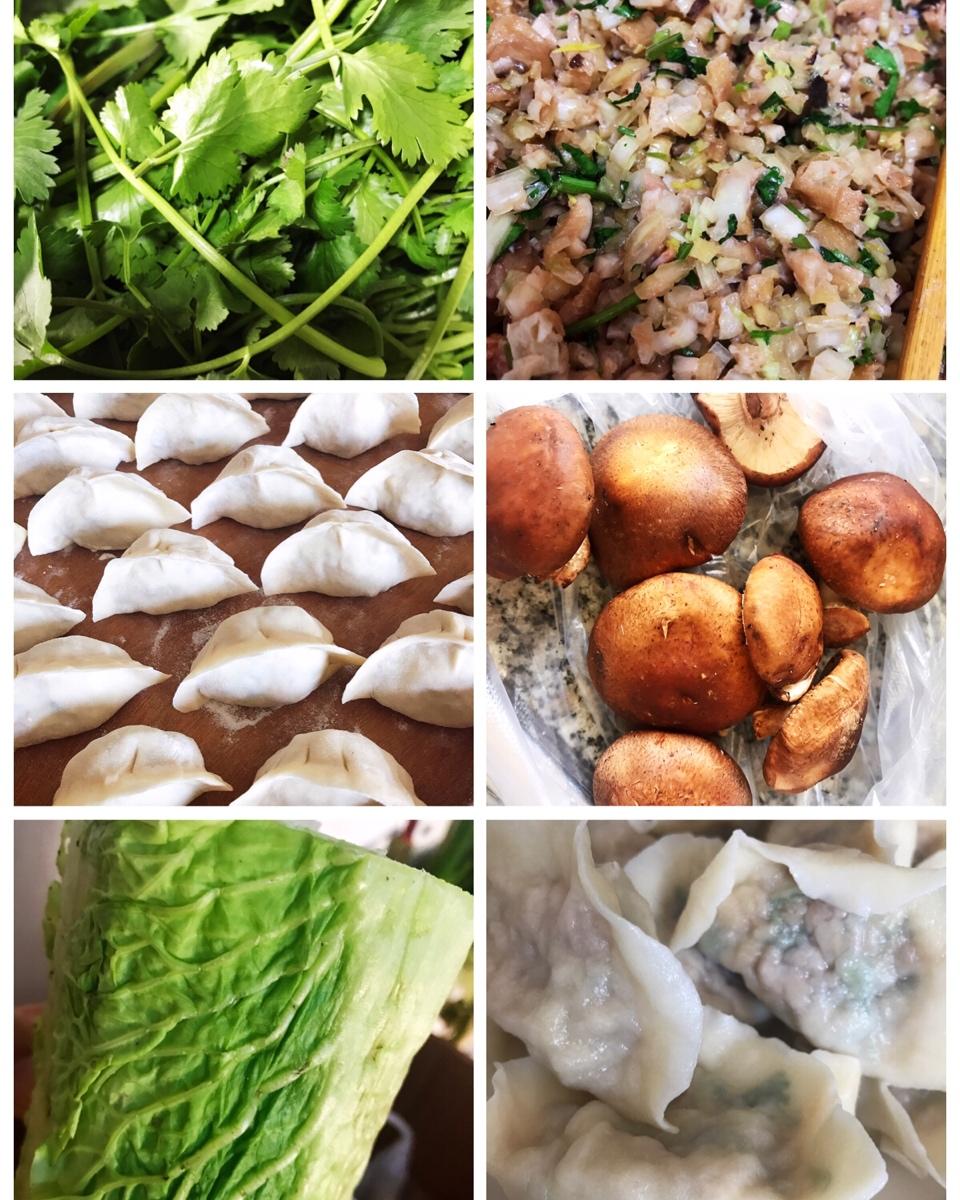 我爱吃饺砸