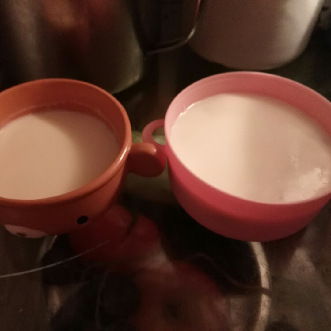 酸奶冻芝士蛋糕