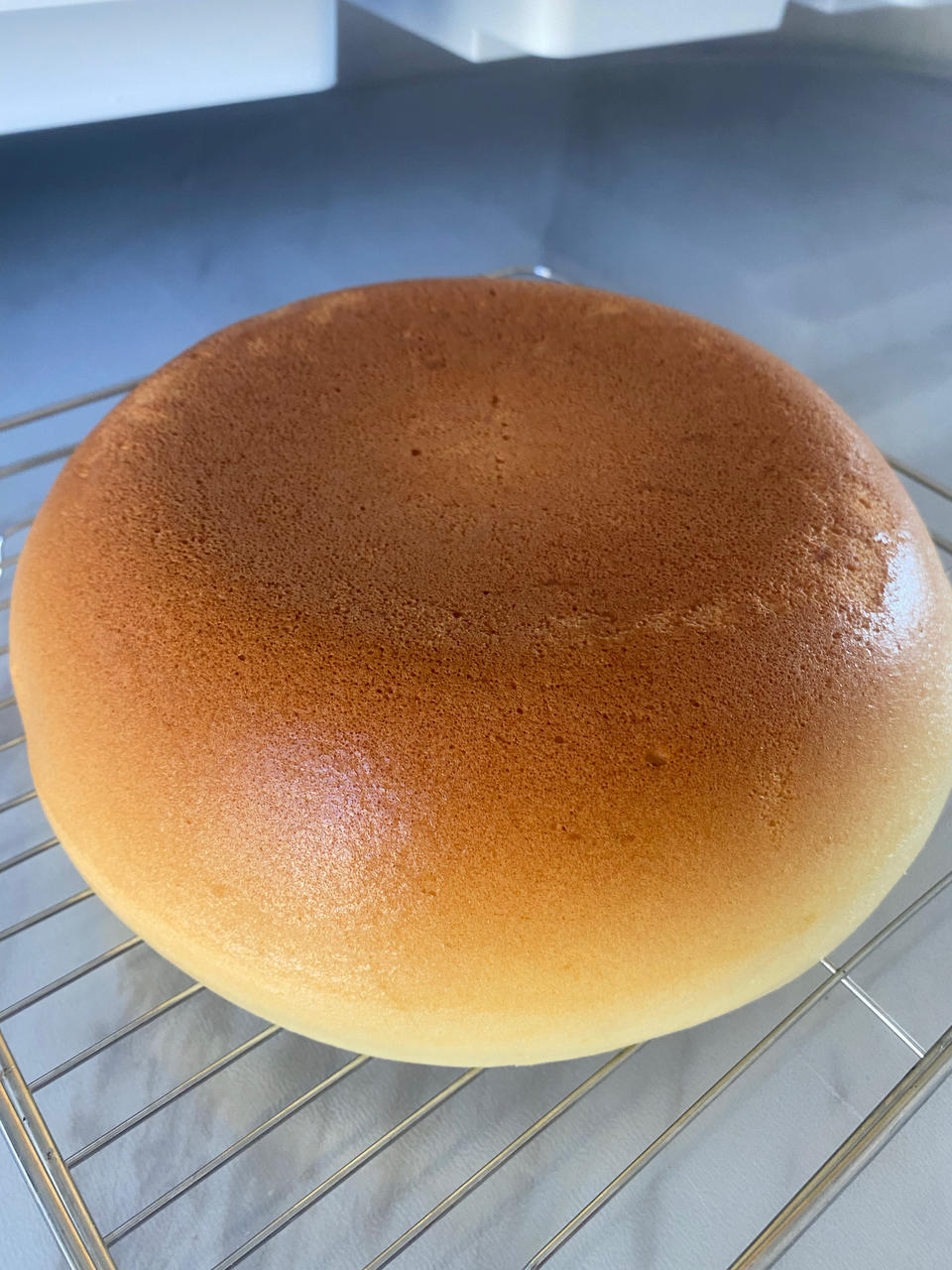 电饭锅蒸蛋糕（烫面法 ）