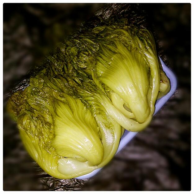 jerine-1做的水碌菜(水烫菜)