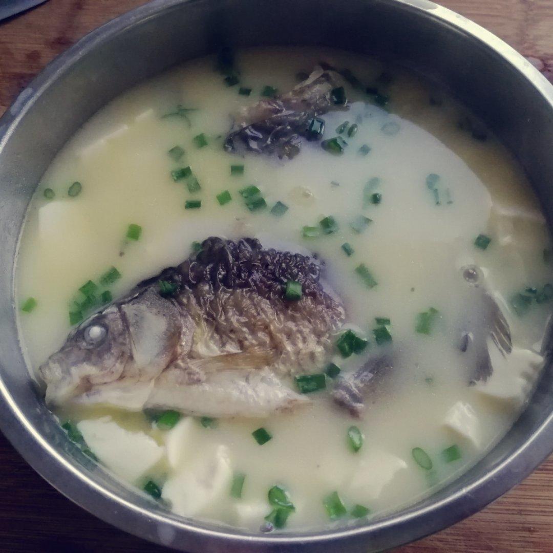 鲫鱼豆腐汤