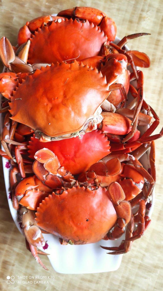 就像有句话所说：成年人的世界里，从来就没有“容易”二字。很多时候，你只能单枪匹马，直面生活的兵荒马乱。