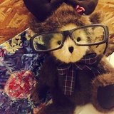 Mrdeer
