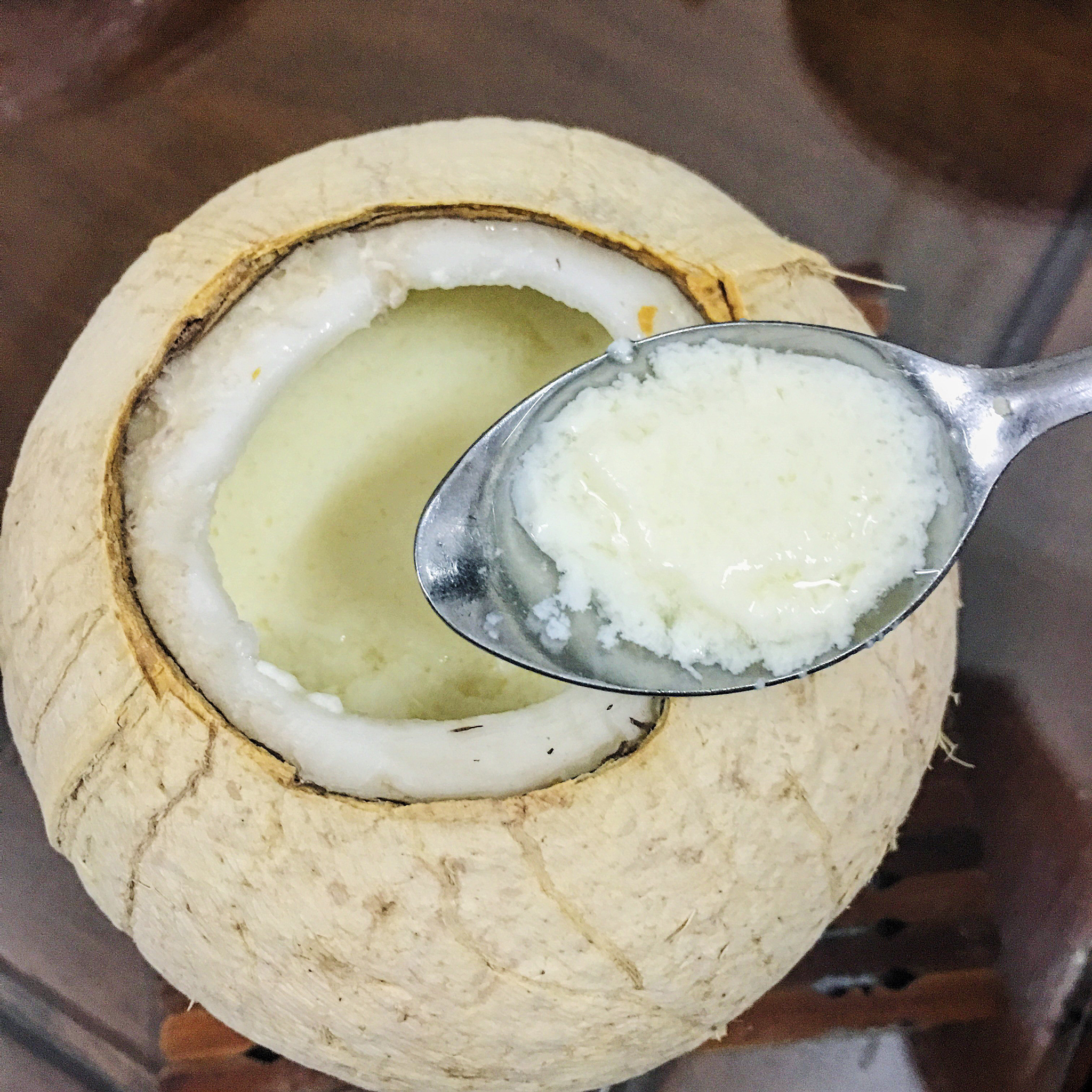 椰子炖蛋