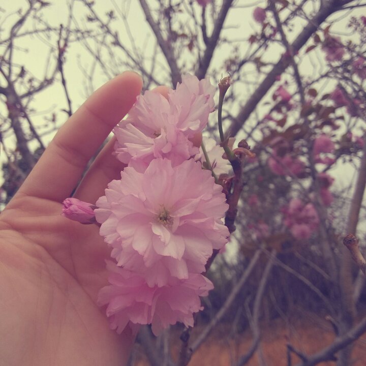 遥不遥