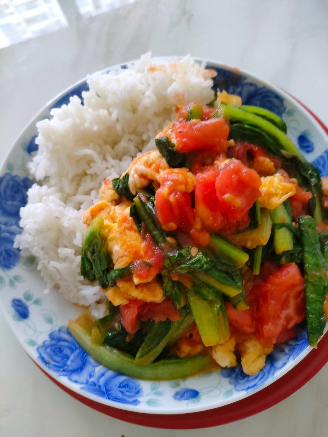 番茄油麦菜炒鸡蛋