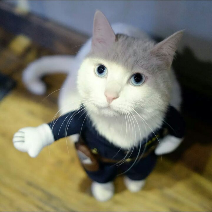 牛奶泡面包