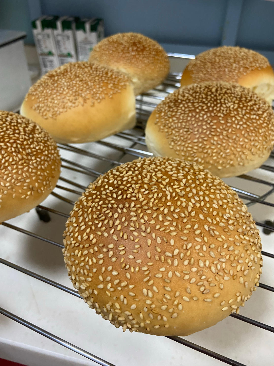 做了10000个汉堡胚后，我来教你最简单的做法