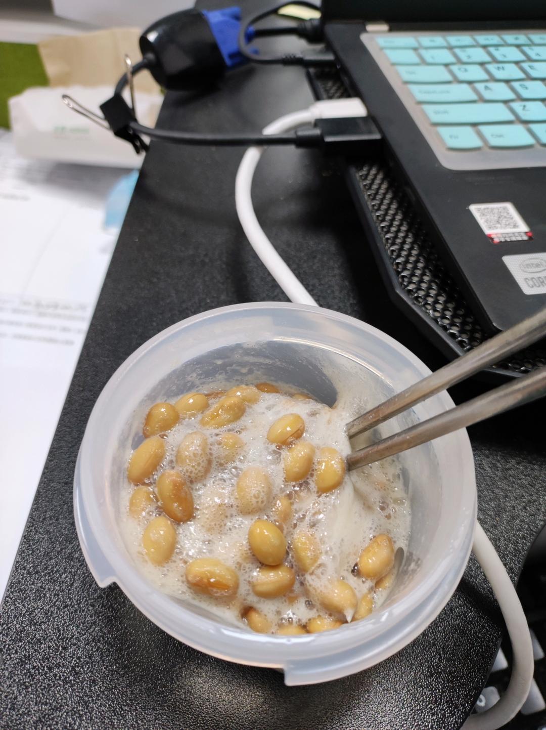 自制纳豆（酸奶机，面包机，烤箱版）