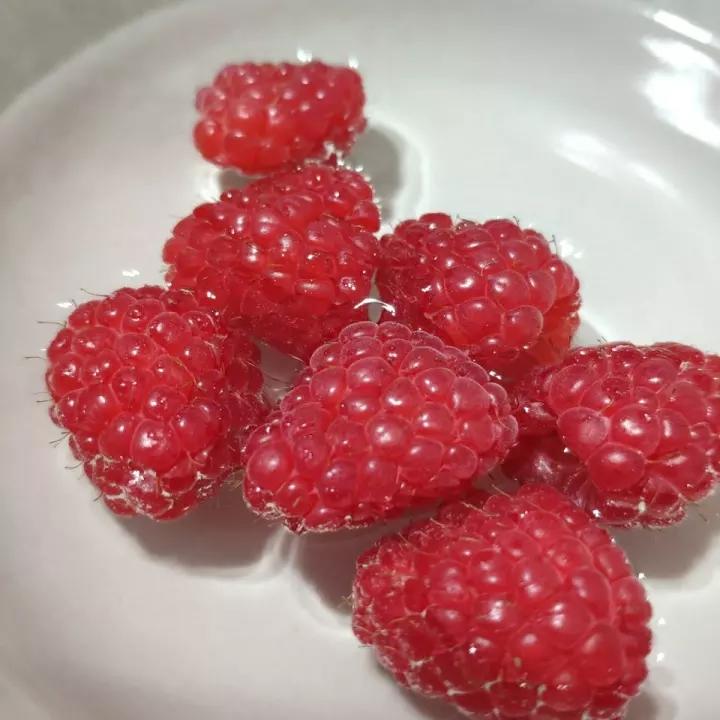 你好，我是树莓