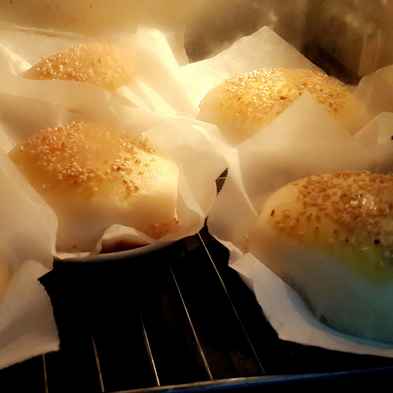 汉堡胚（中种法）