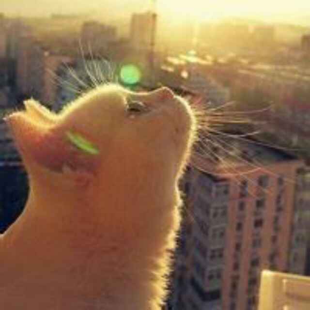 手机用户7726_hquy