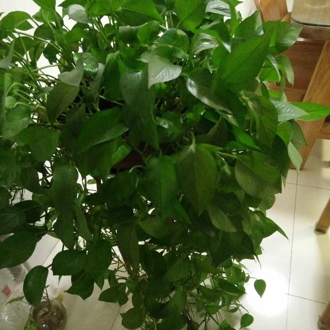 手机用户8848_j41g