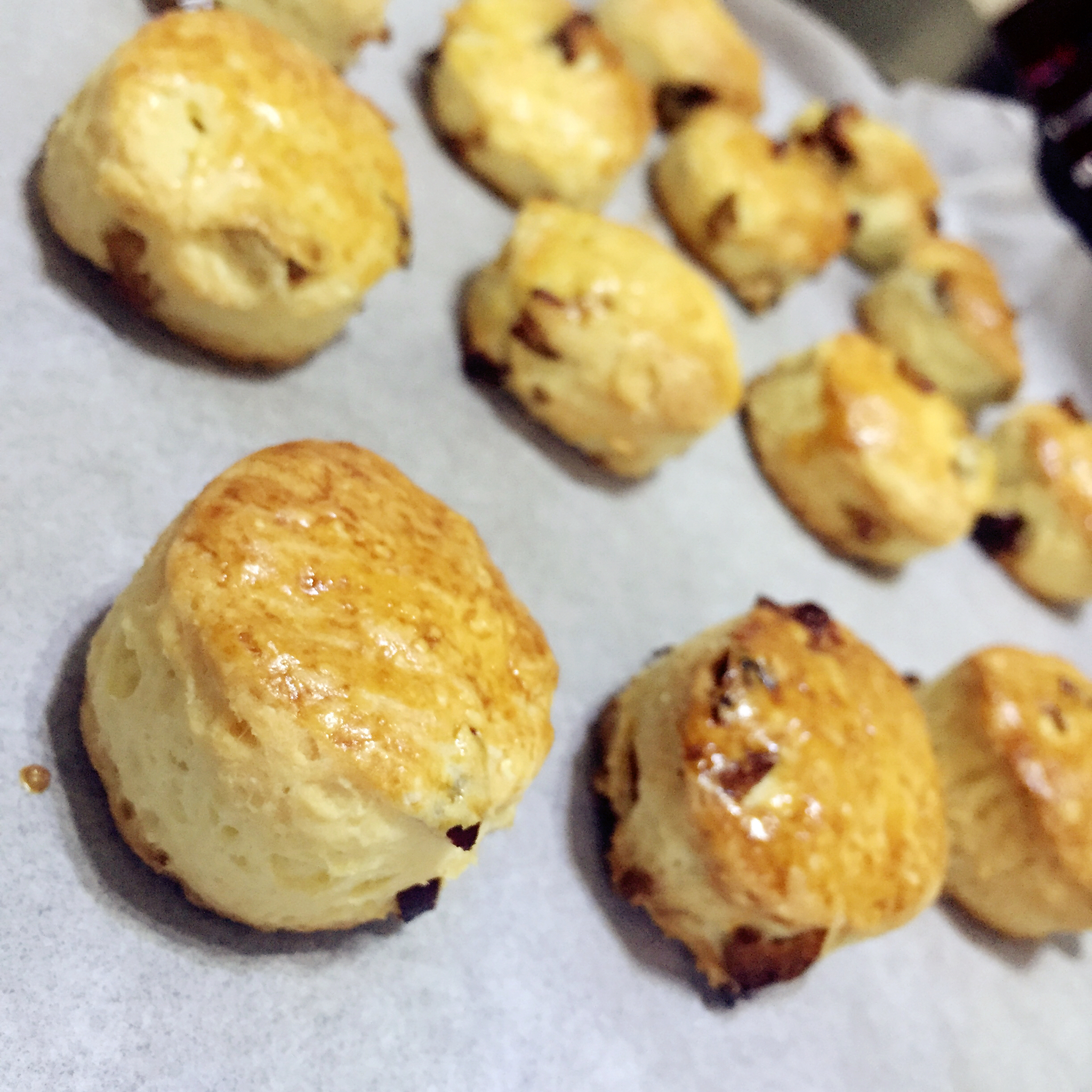 藤田千秋的红枣核桃酸奶司康（伪）