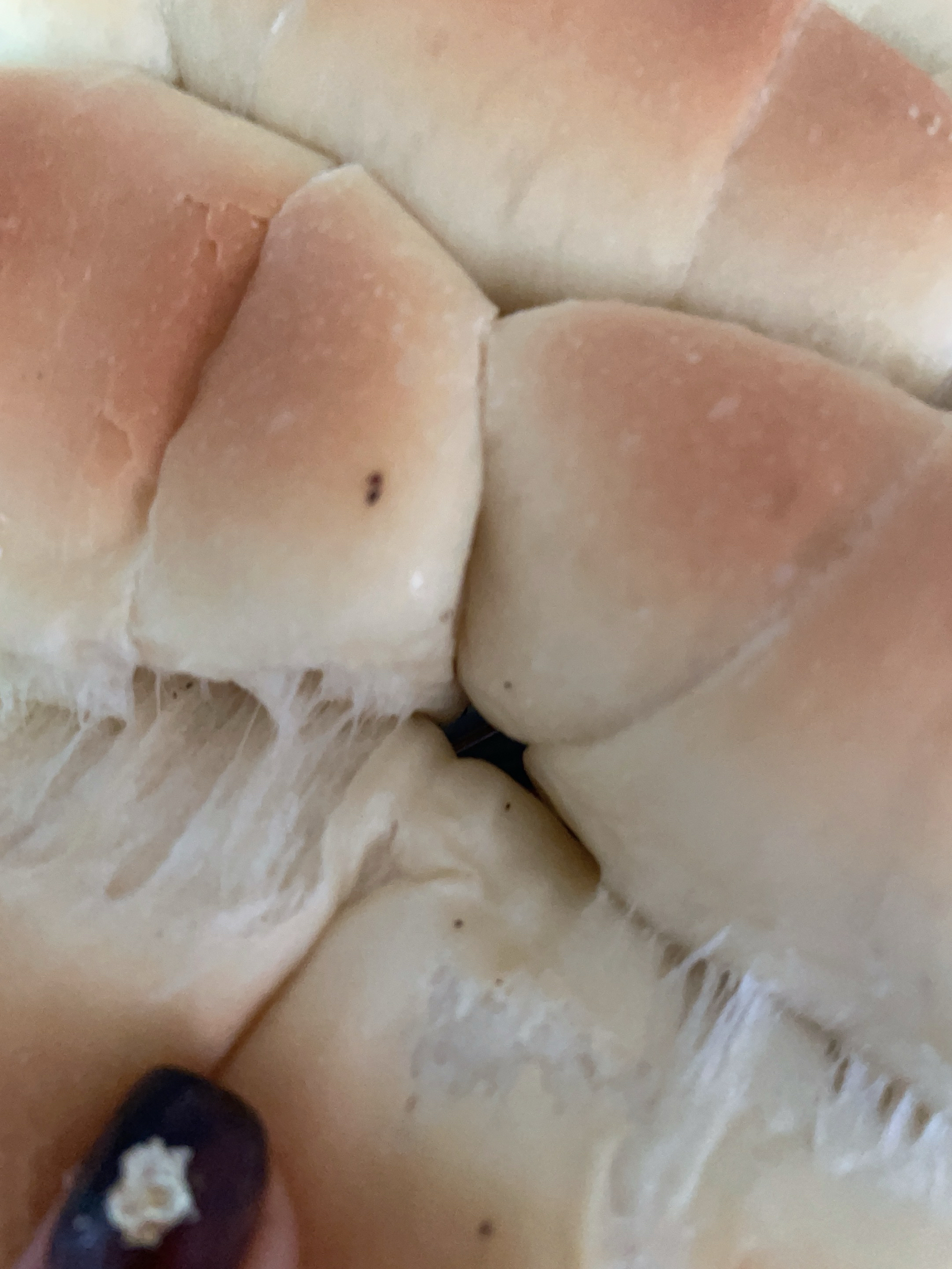 绵软的云朵北海道中种小面包
