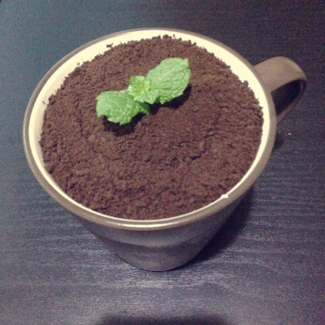 酸奶盆栽/继续延续小清新风/治愈系甜品