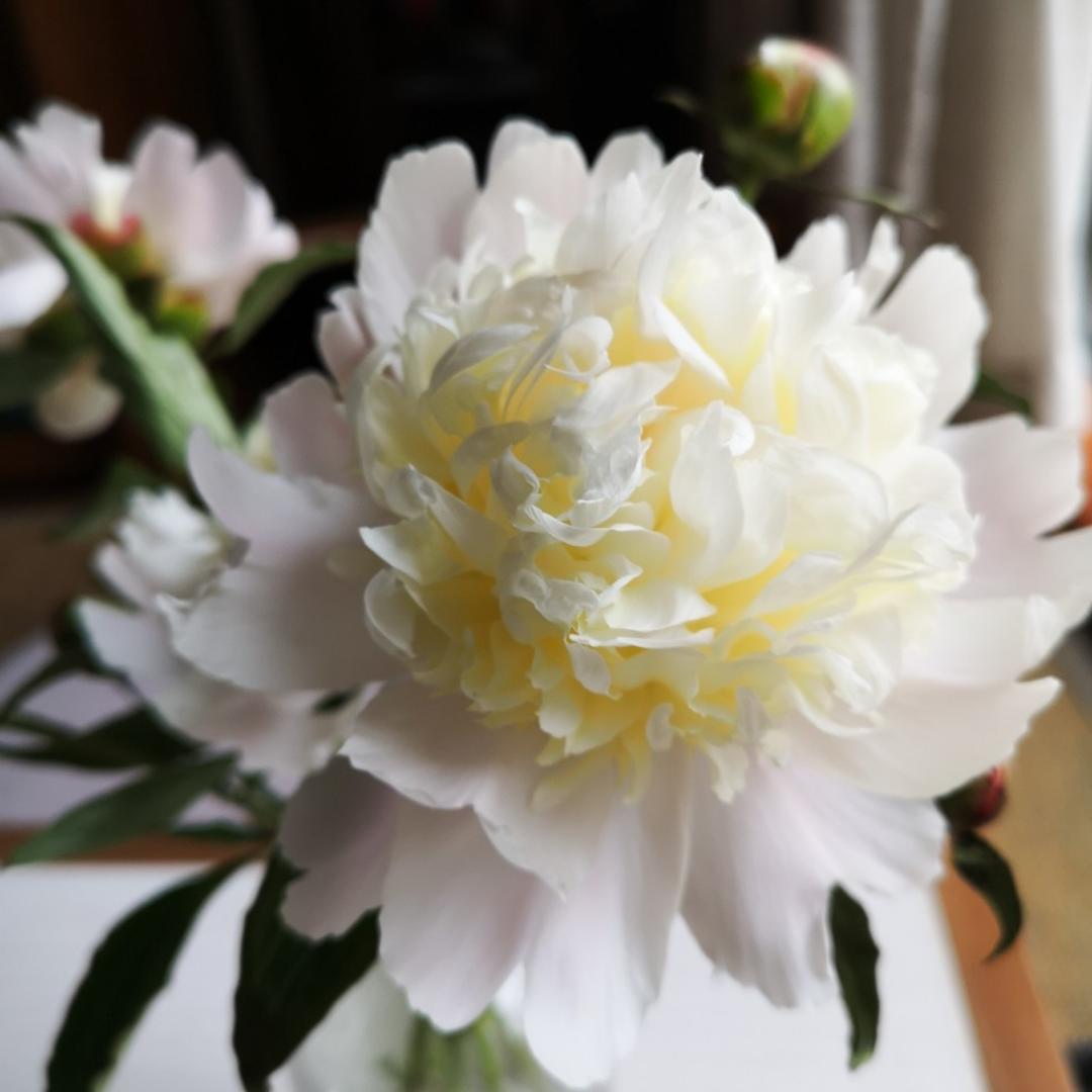 秋秋晓晓