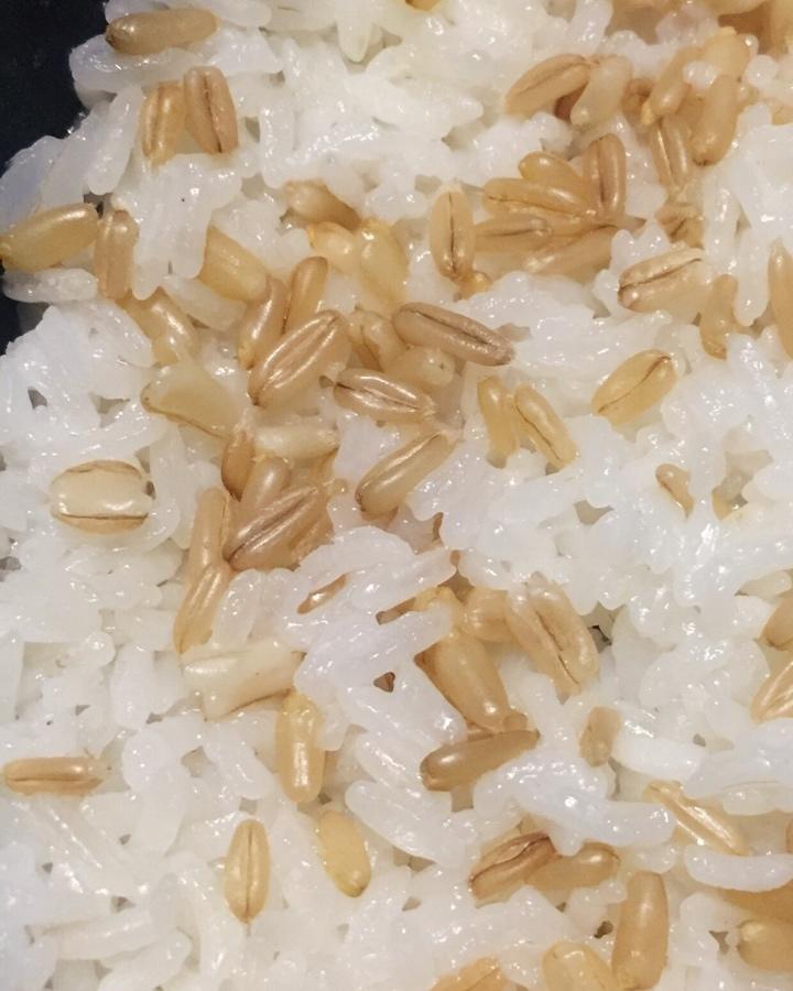 【健康三餐】发芽燕麦饭（粥）