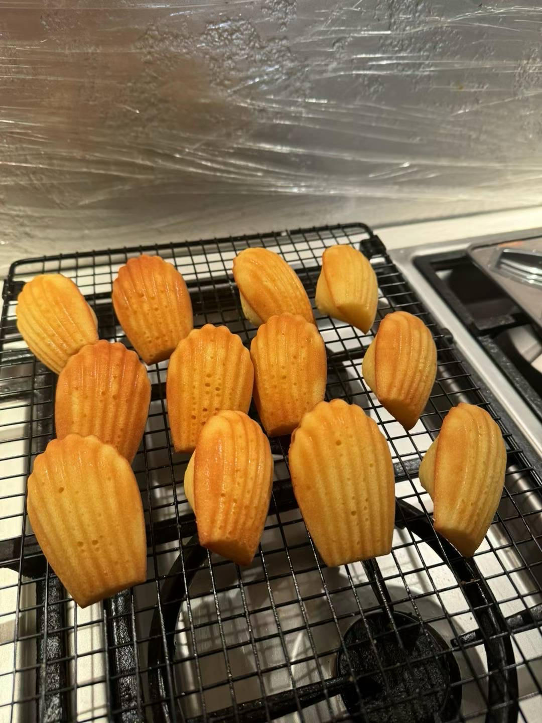 玛德琳（蓝带方）