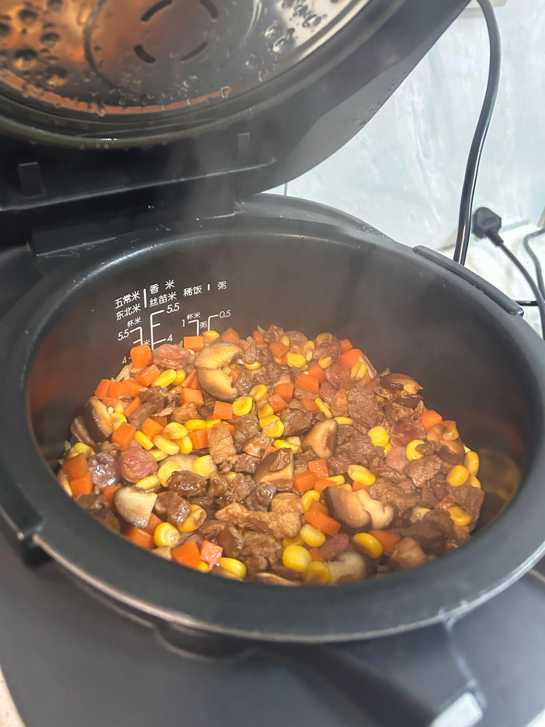 家庭简餐——电饭锅牛肉焖饭