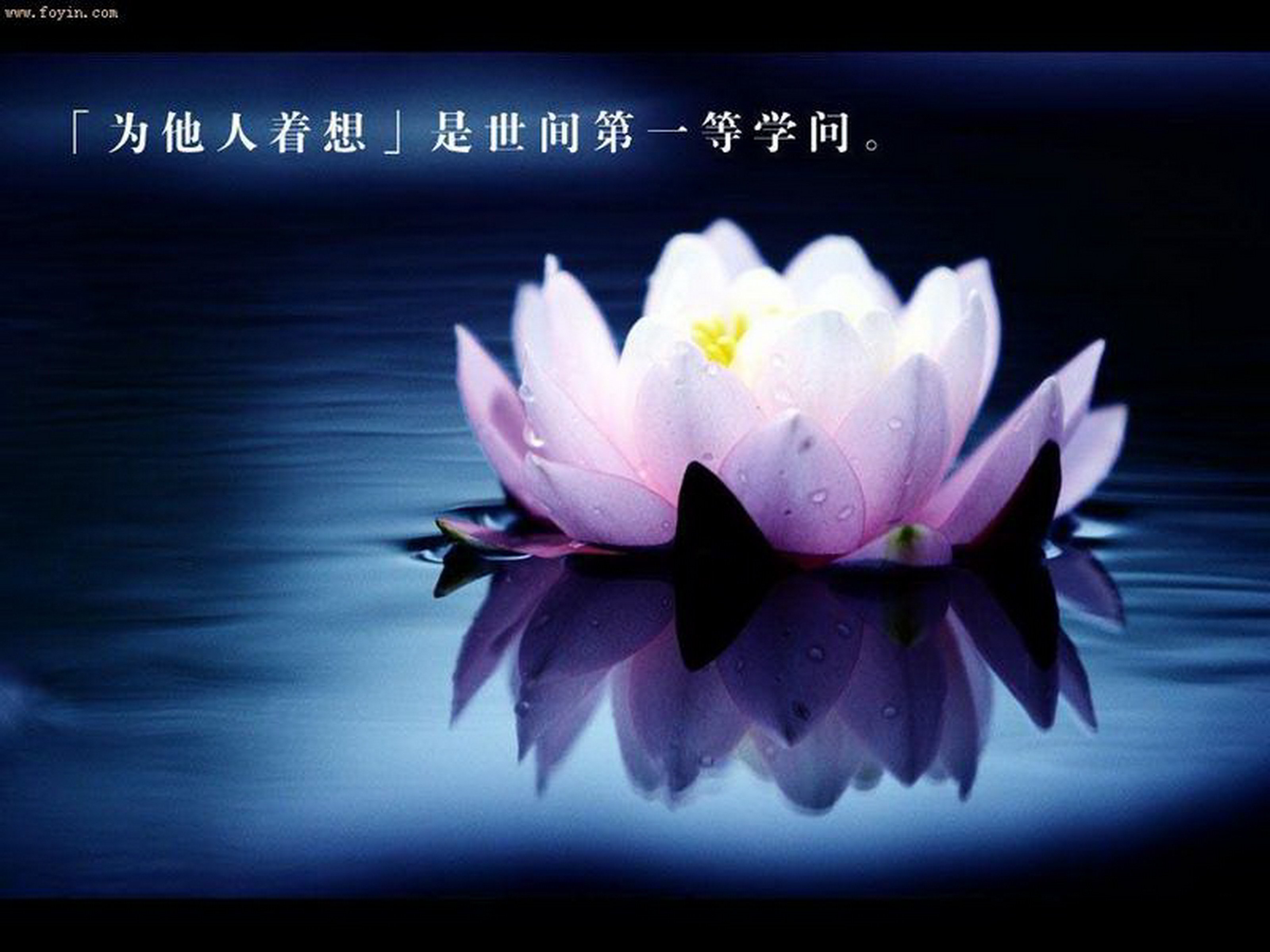 墨墨爸比